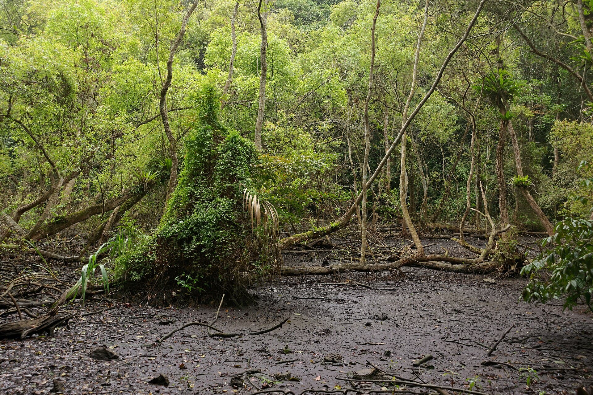 Ao Ech, Cat Ba National Park, Vietnam, 20240131 1026 4563