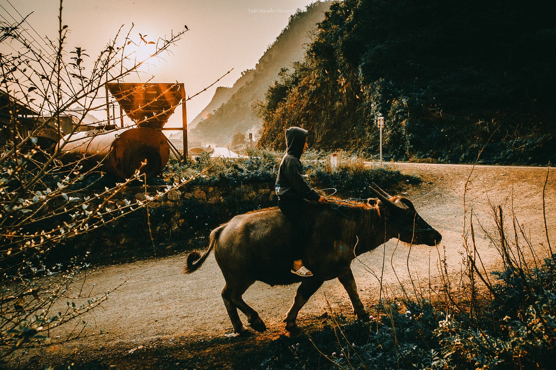 A Child In Moc Chau Viet Nam (202384245)