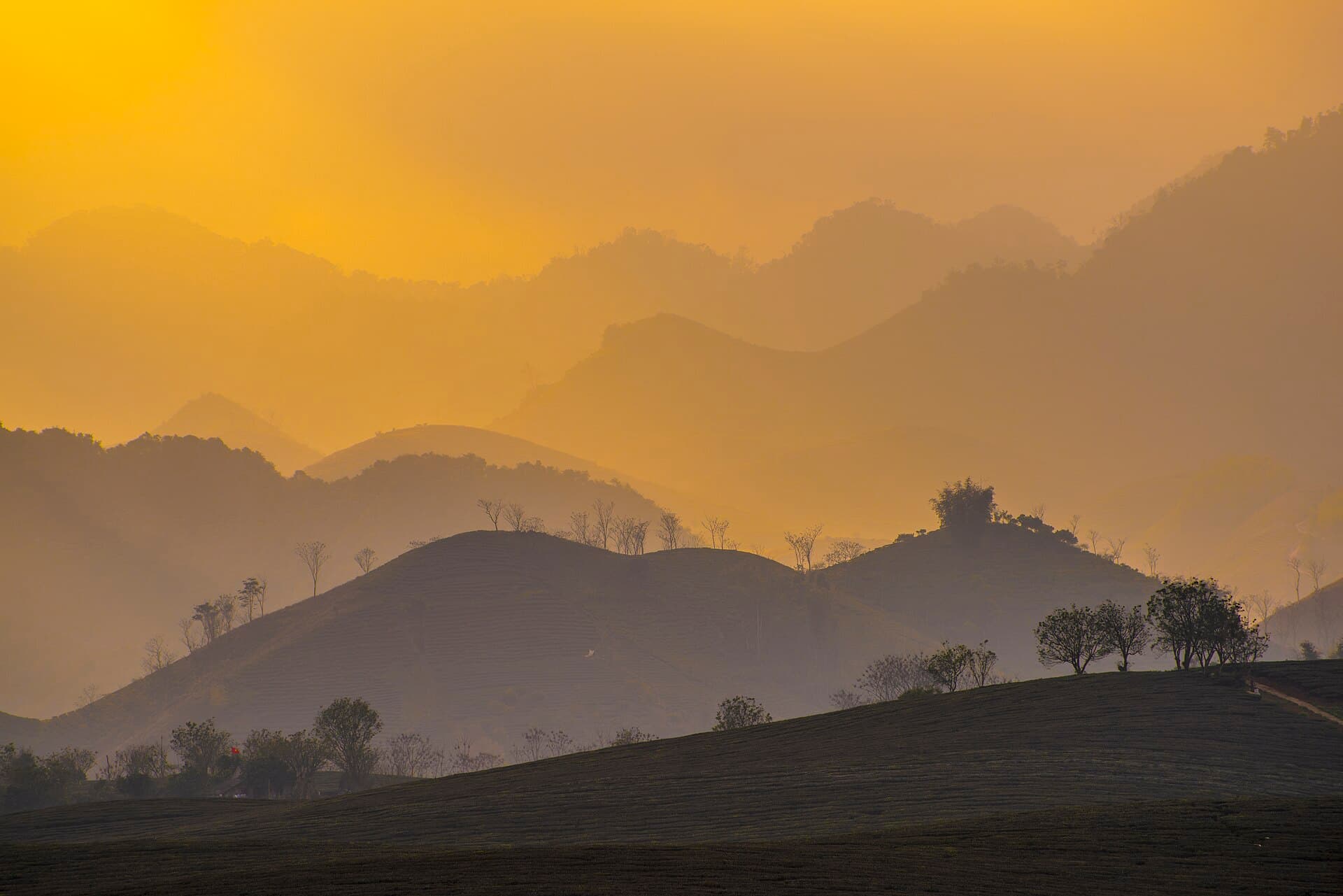 Foggy mountain (Unsplash)