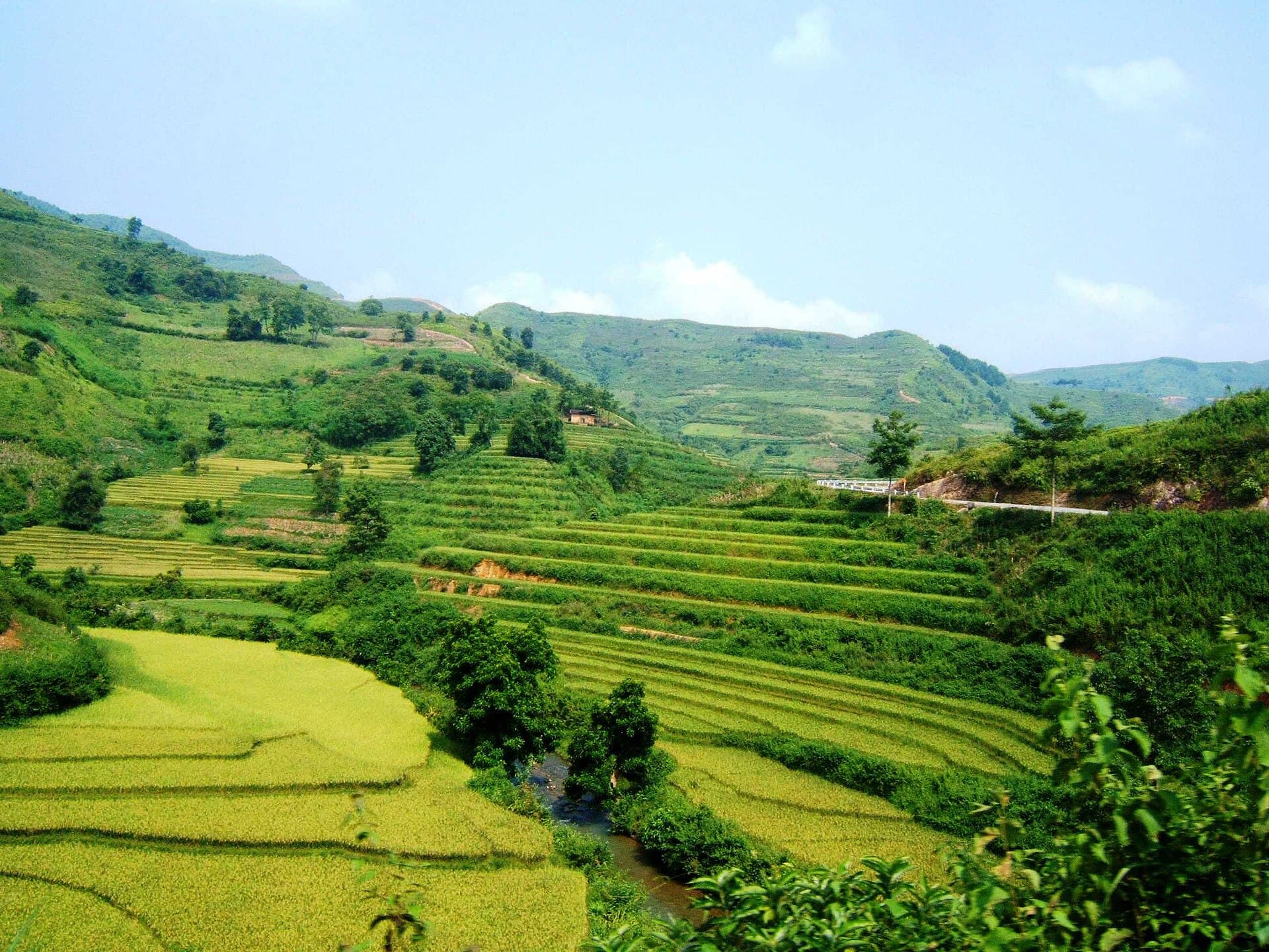 Autumn comes on TerraceField-YenMinh HaGiang Vietnam