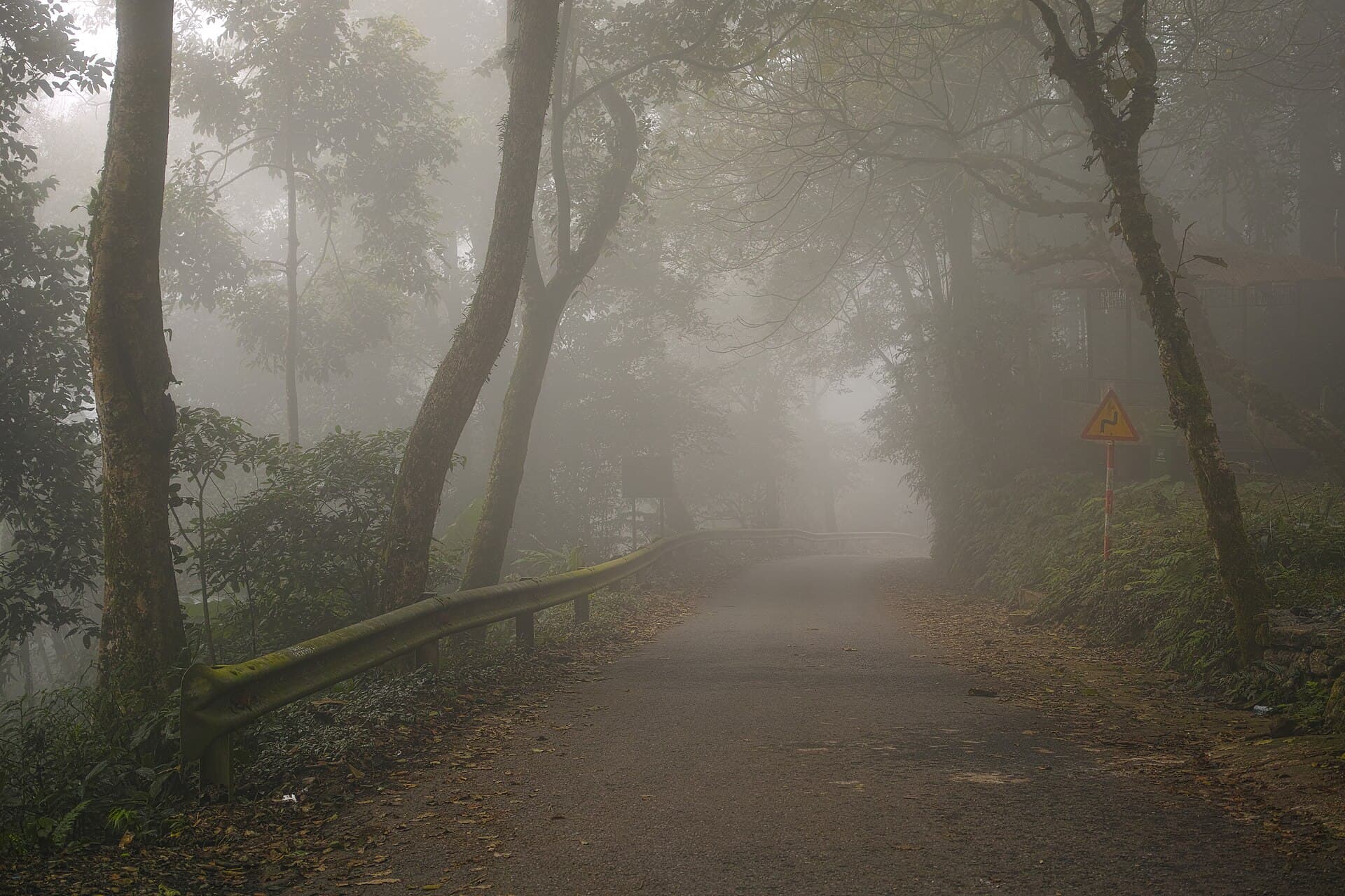 Ba Vì National Park, foggy road