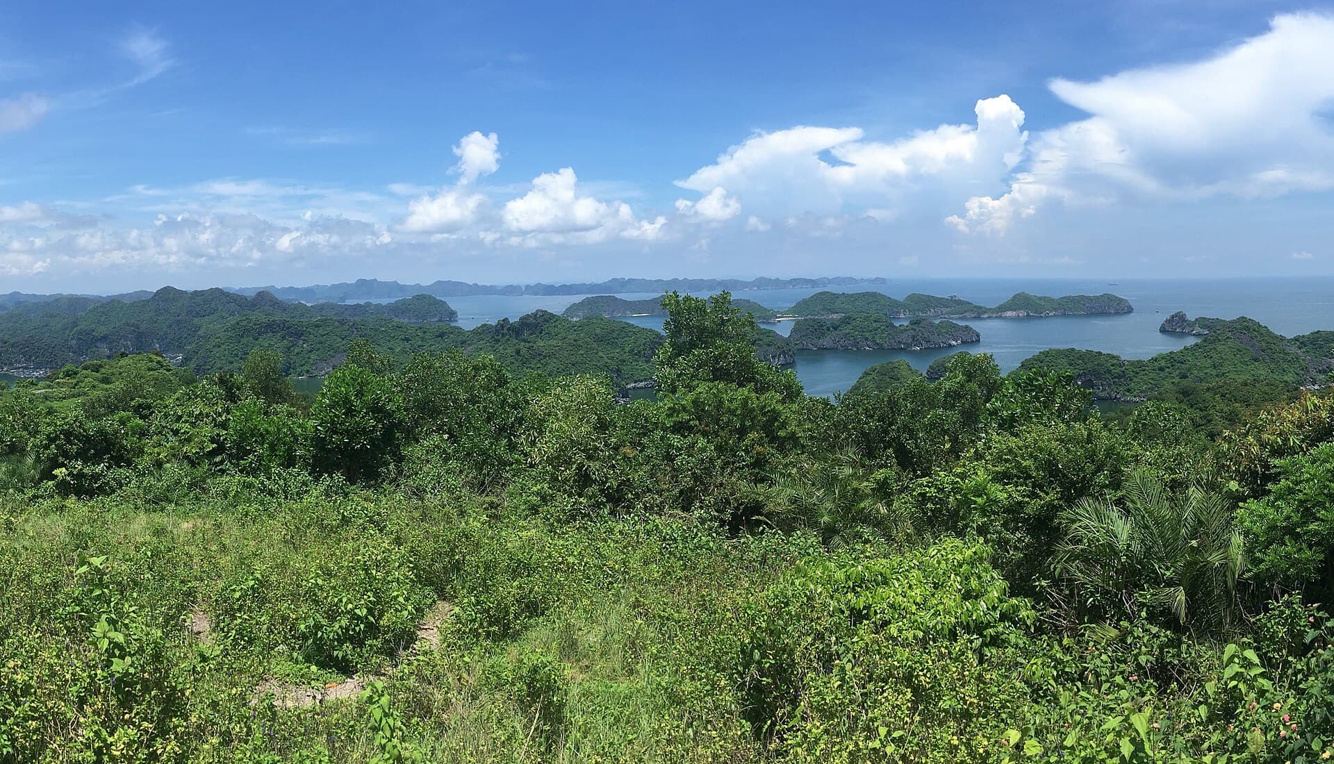 Panoramic of Lan Ha Bay