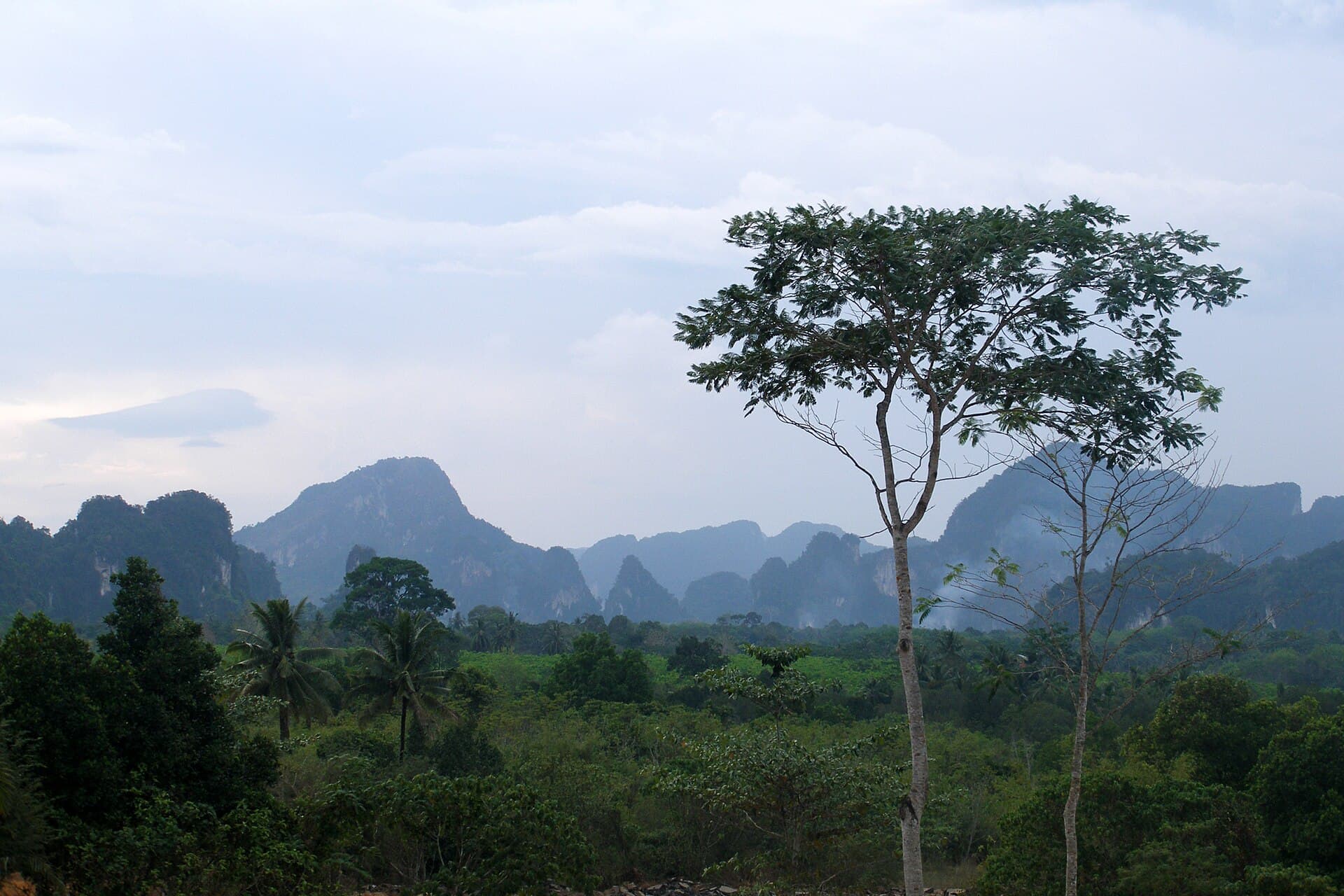 Krabi, Limestone landscape, Thailand
