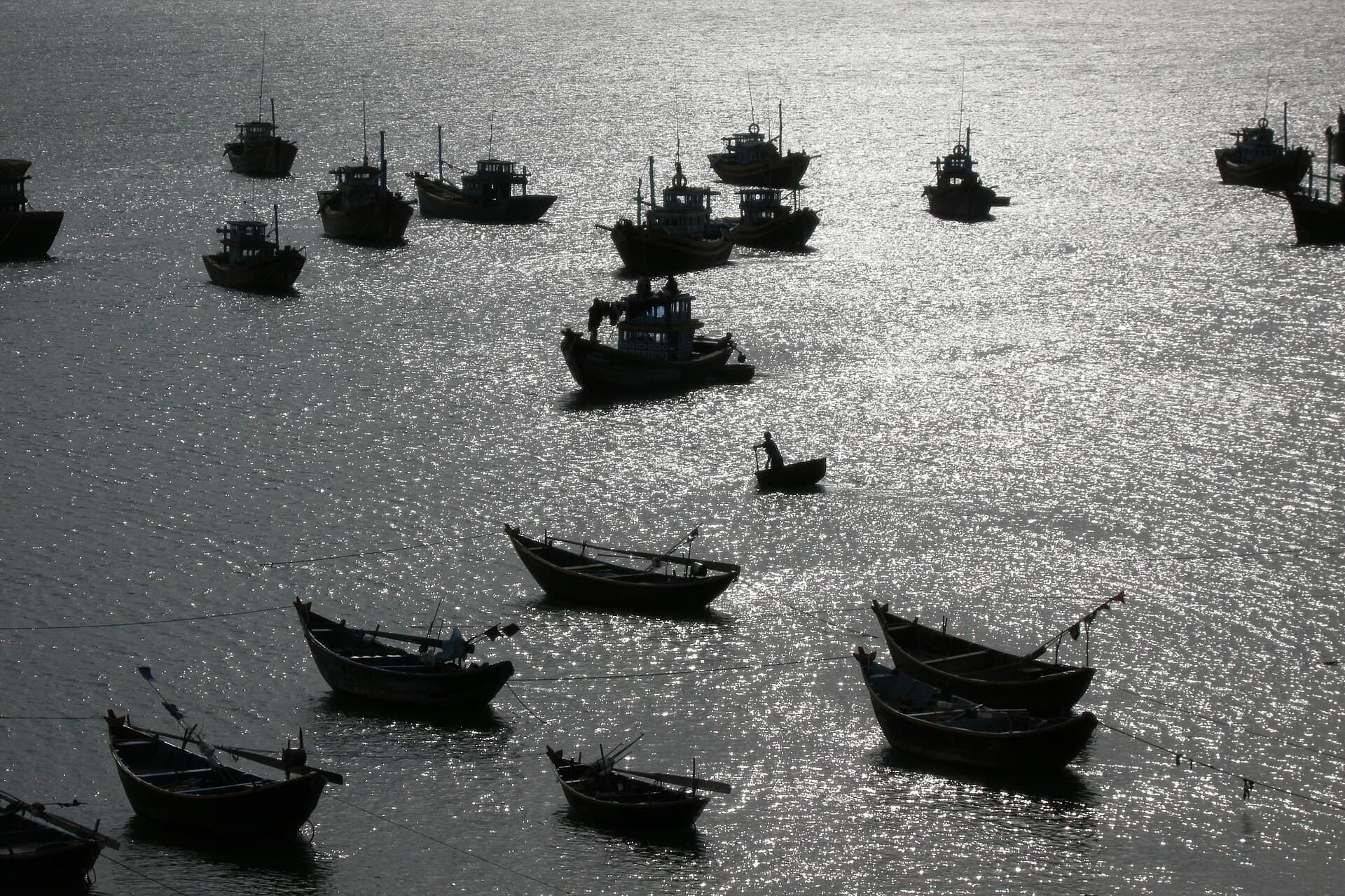 Vietnam, Fishing boats in Mui Ne harbor