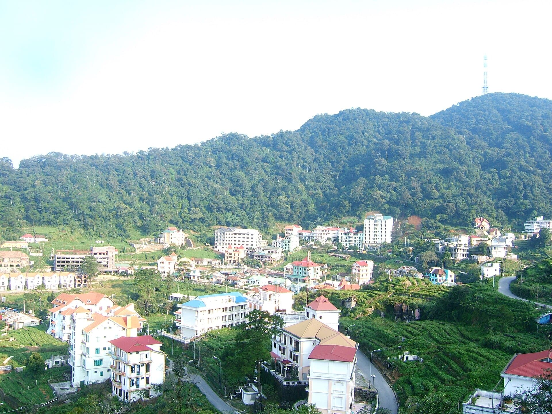 Khu du lịch Tam Đảo