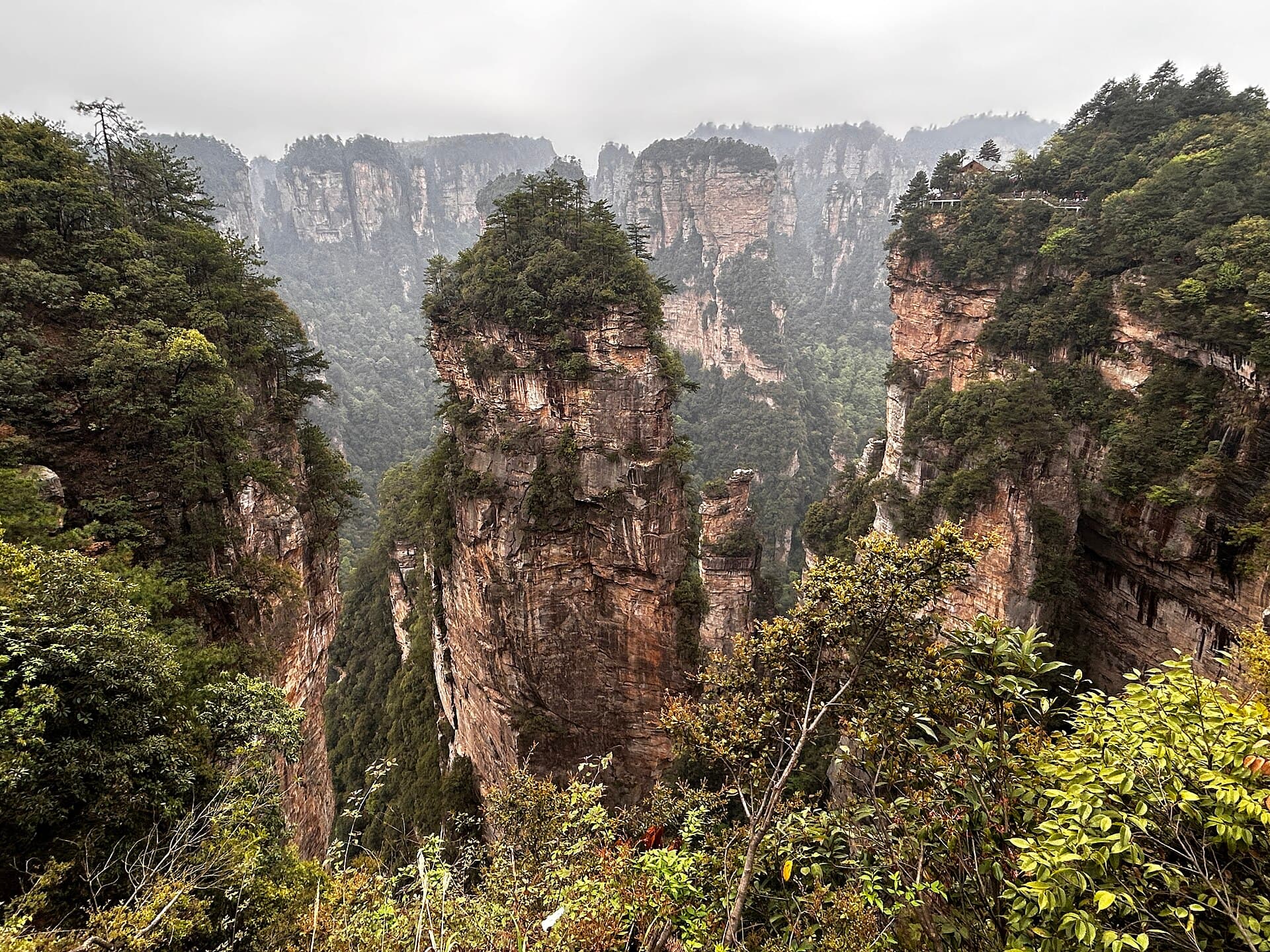 The sandstone pillars of Wulingyuan (53963199701)